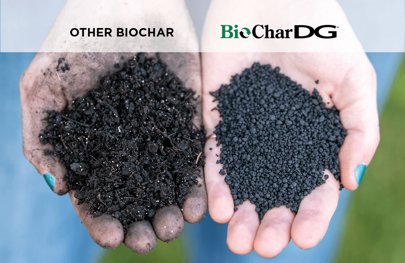 BioChar DG Comparison Hands