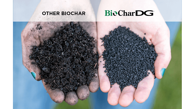 BioChar DG Comparison Hands