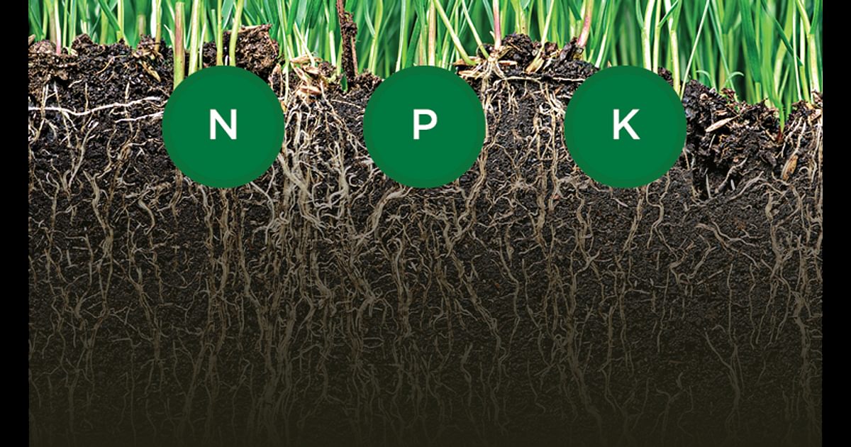 What is NPK? The Andersons Home and Garden