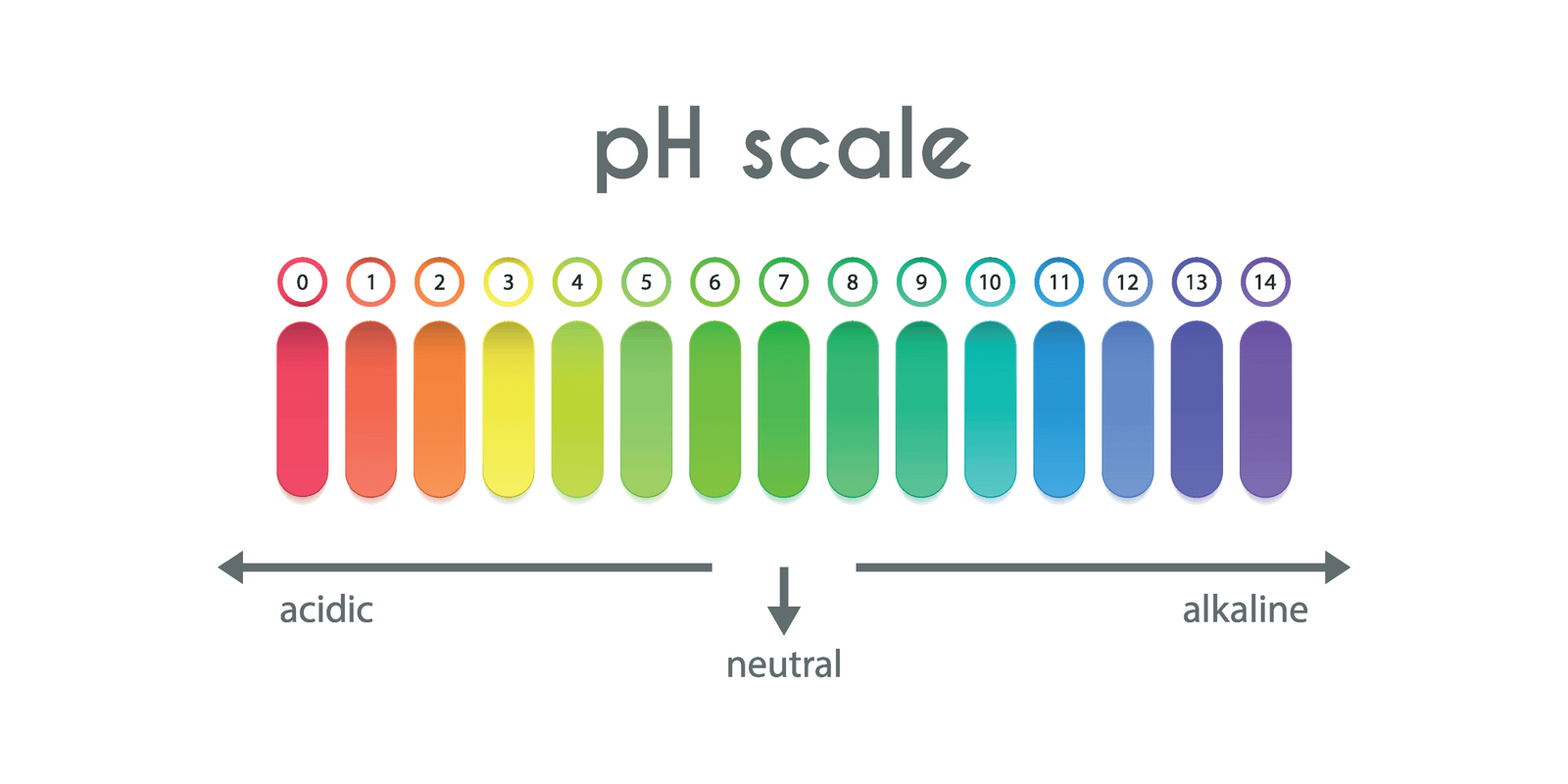 pH Scale