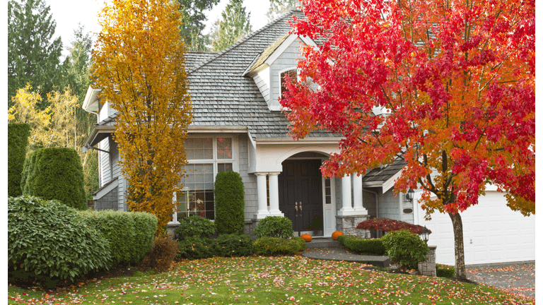 Fall House