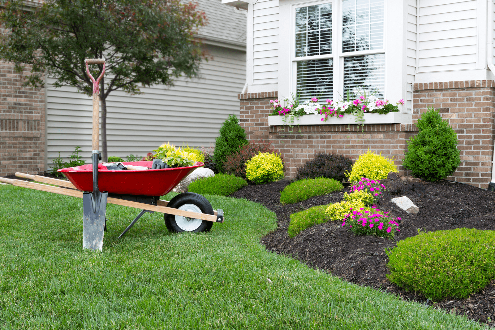 Spring Lawn Landscape