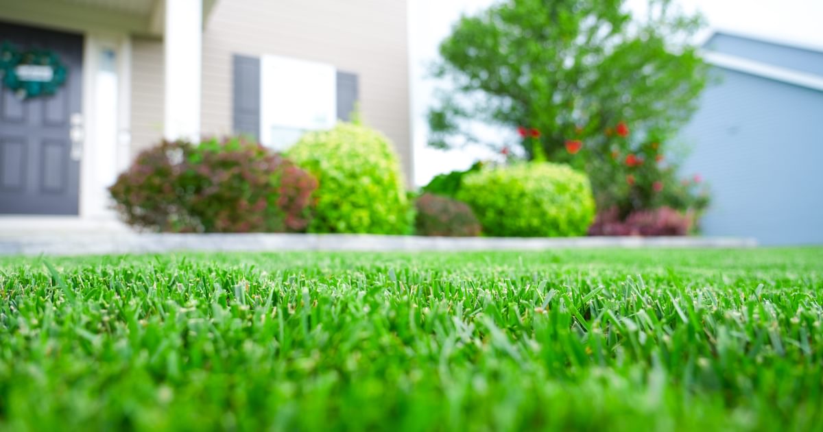 The Importance of Fall PreEmergent A Guide for a Lush Lawn The Andersons Home and Garden
