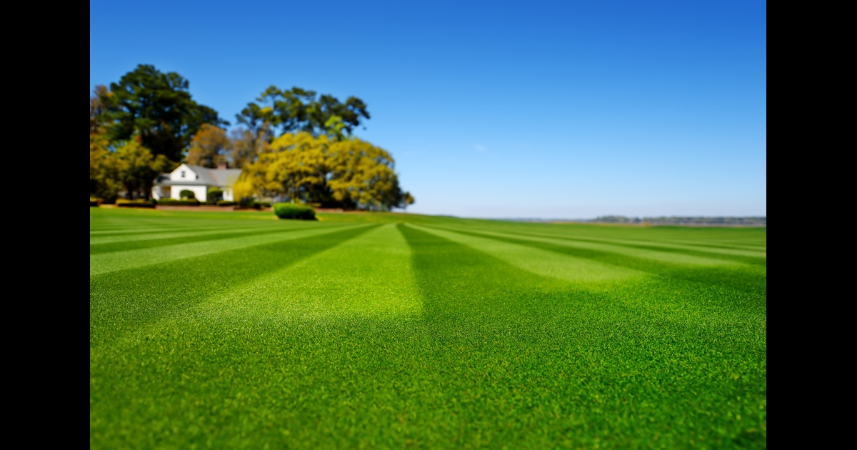 Get Golf Course Quality Results at Home with DG Technology The