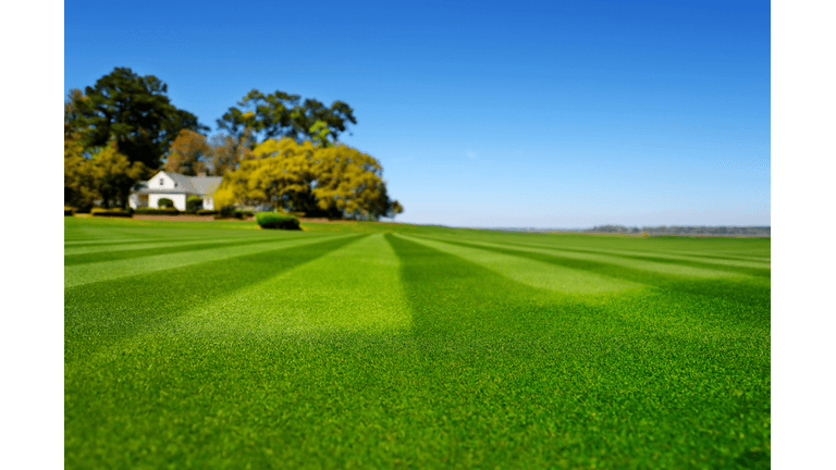 Get Golf Course Quality Results at Home Blog