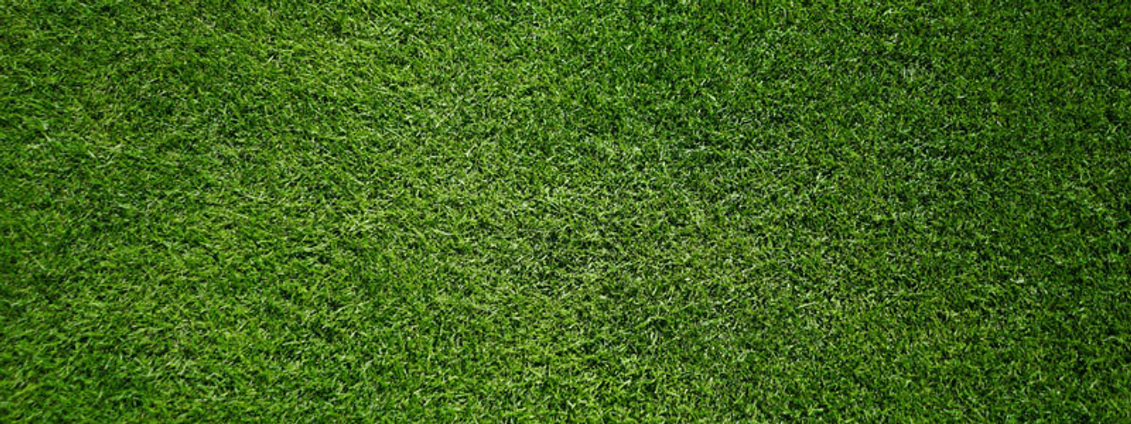 Grass Aerial