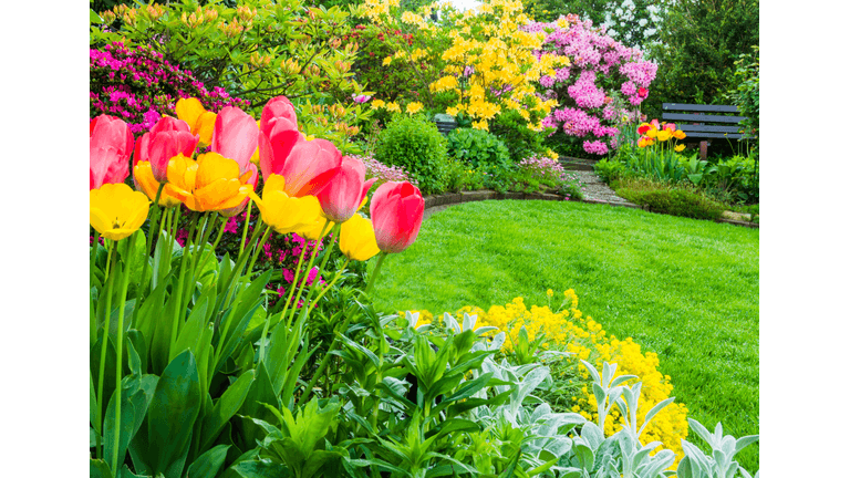 Lawn with Flowers and Landscaping