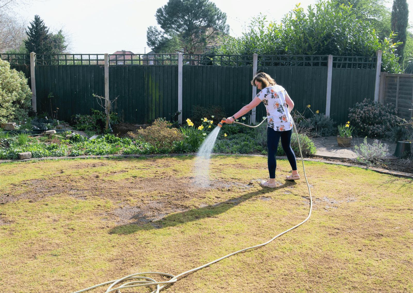 Woman Watering Lawn Grub Damage