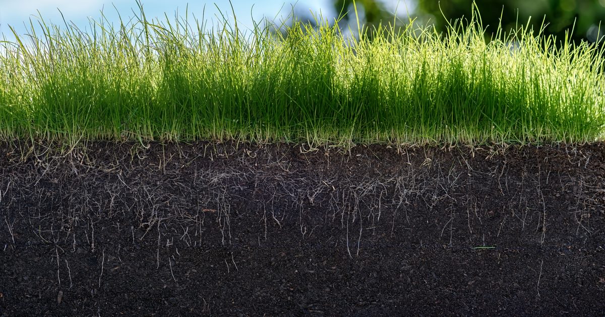 Professional grade soil testing kits the andersons home and garden