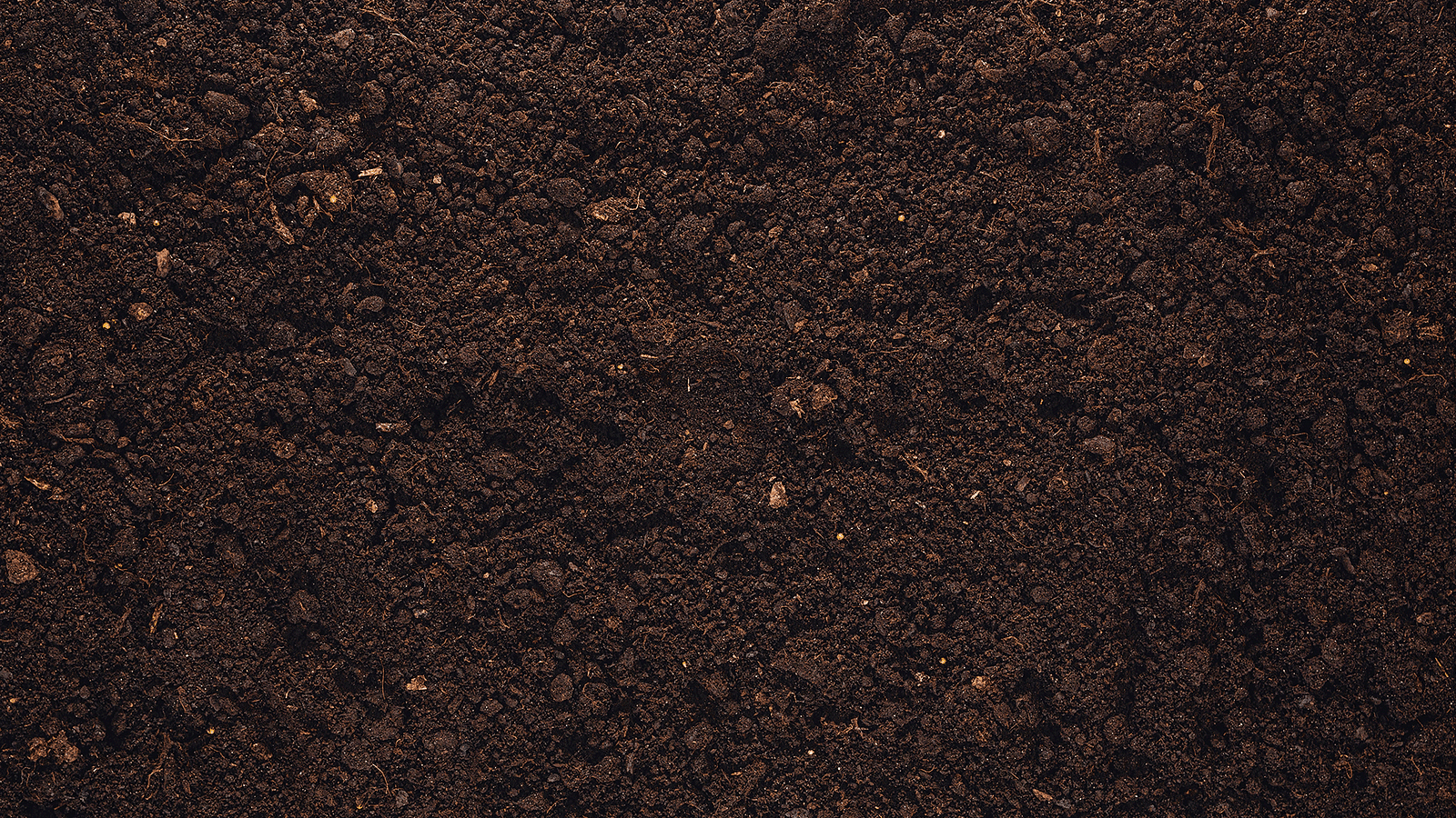 Soil