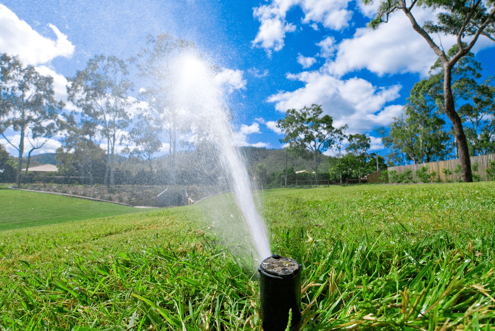 Irrigation In Lawn