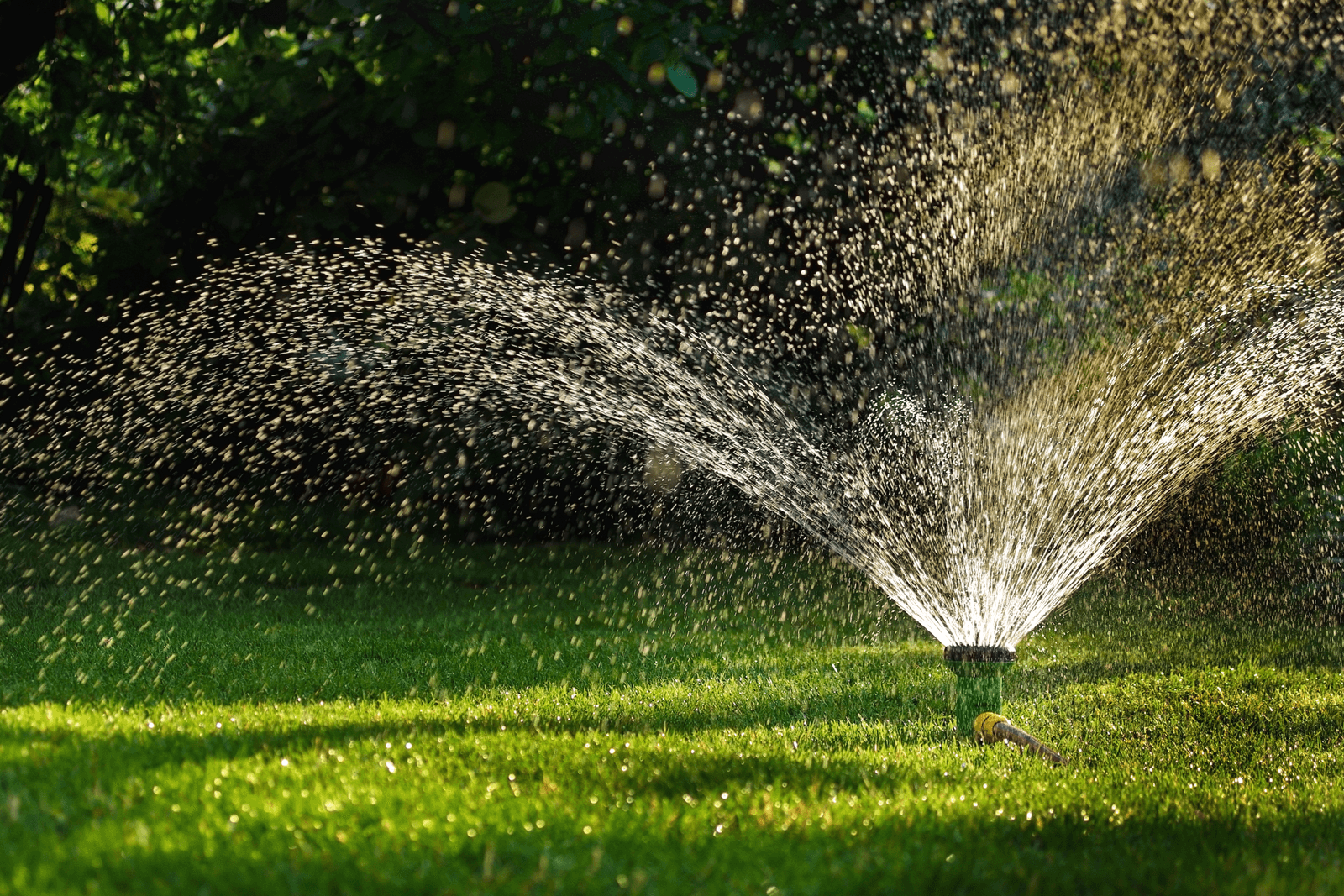 Sprinkler