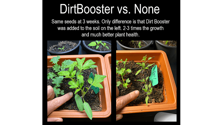 Dirt Booster Graphic - Seed Growth