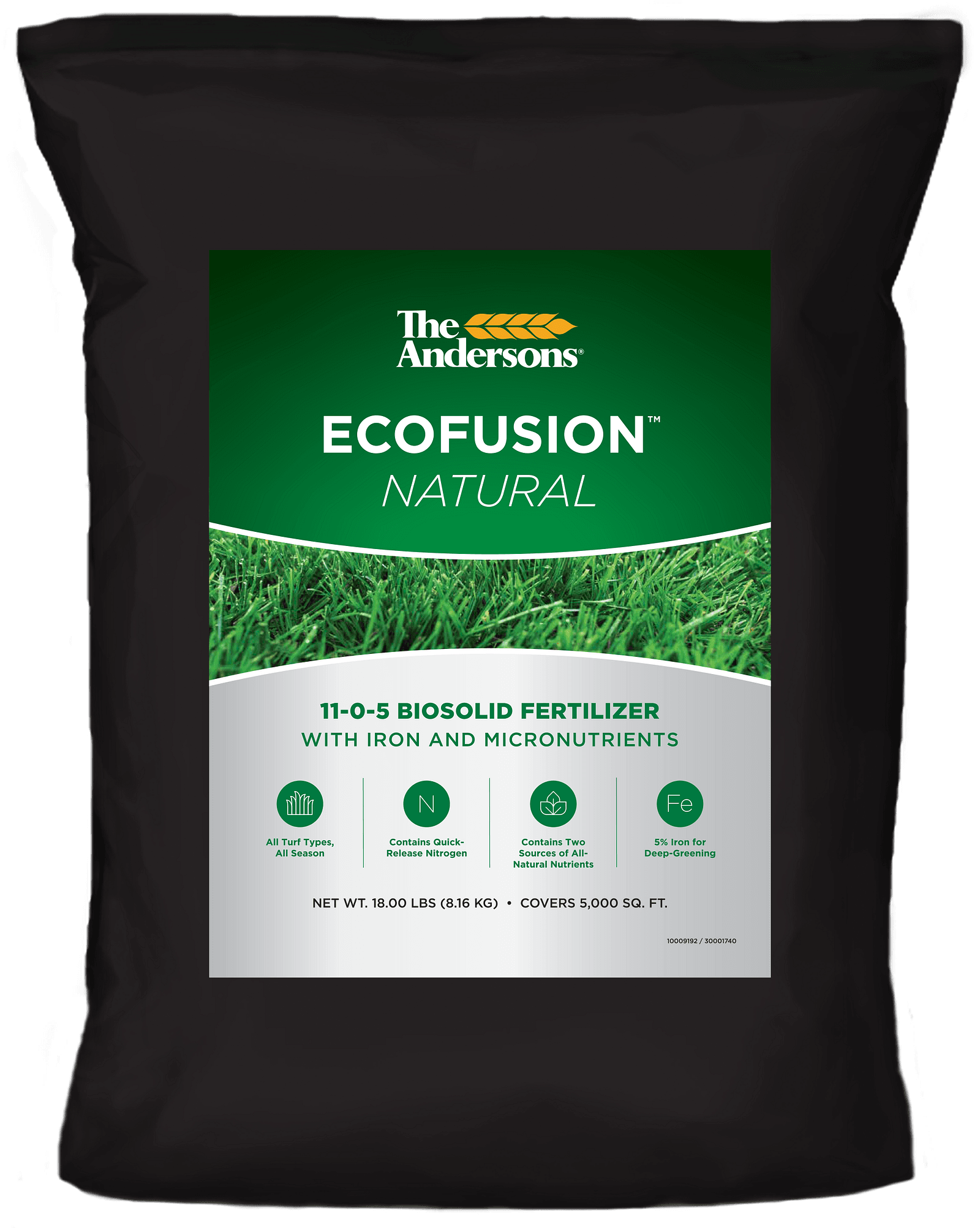 EcoFusion Natural Mock-up