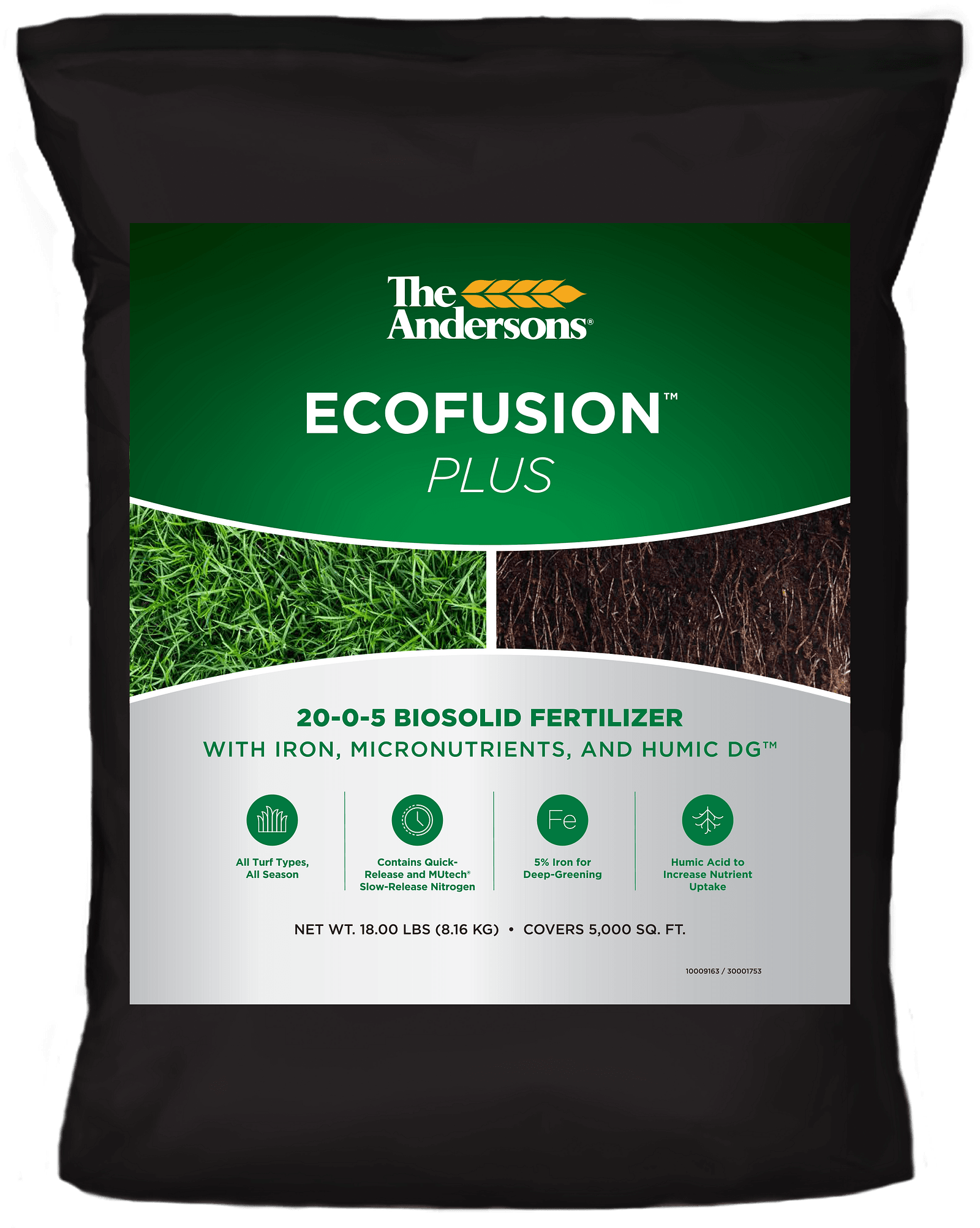 EcoFusion Plus Mock-Up