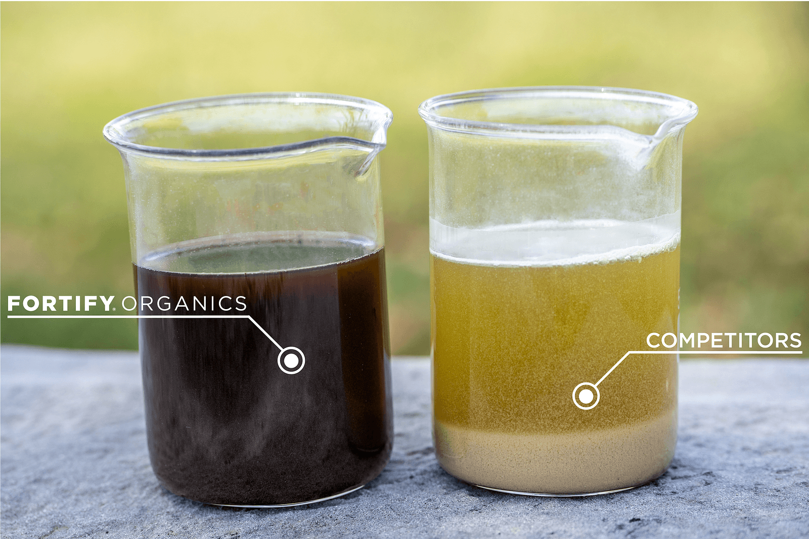 Fortify Organics Solubility Test Comparison