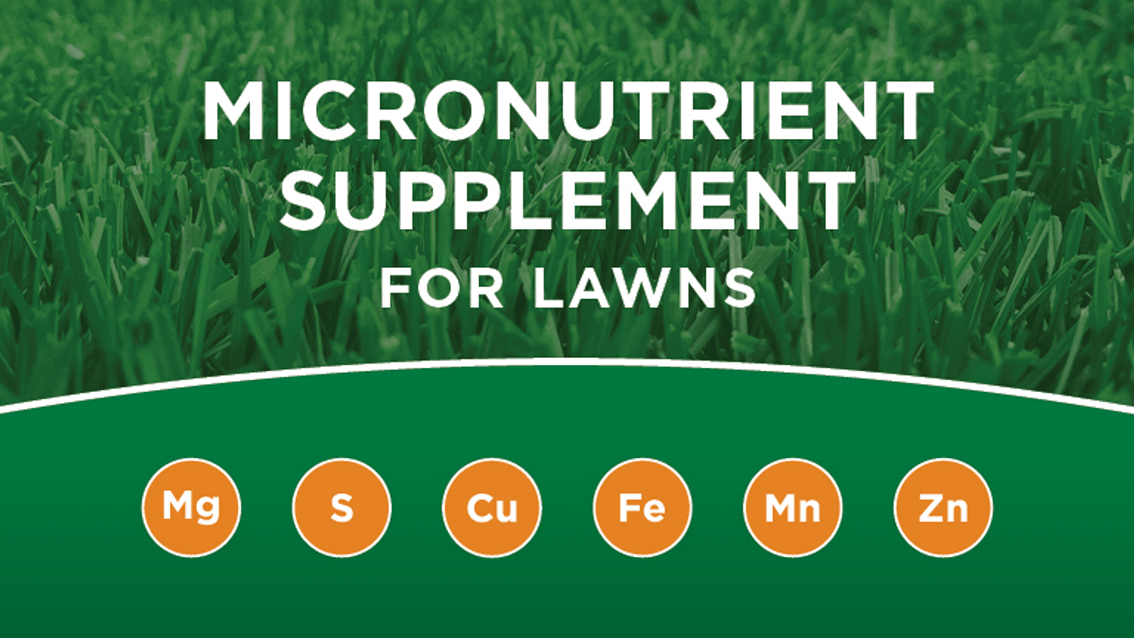 Micronutrient Supplement Callouts