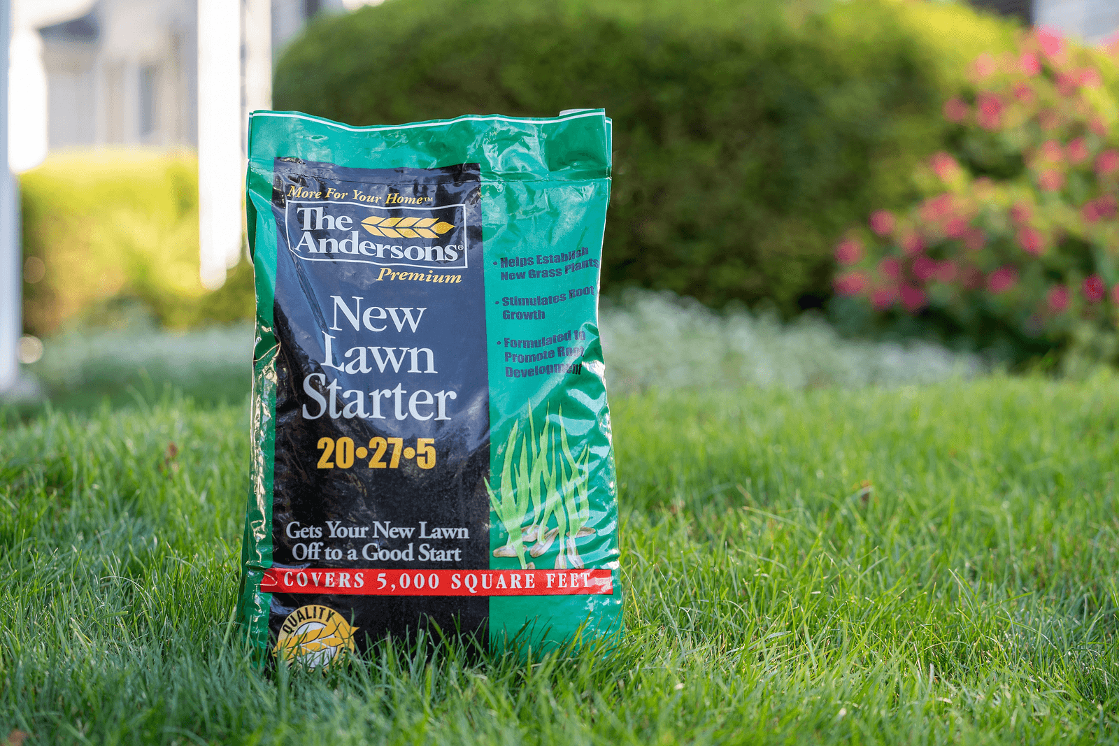 New Lawn starter Environmental Horizontal