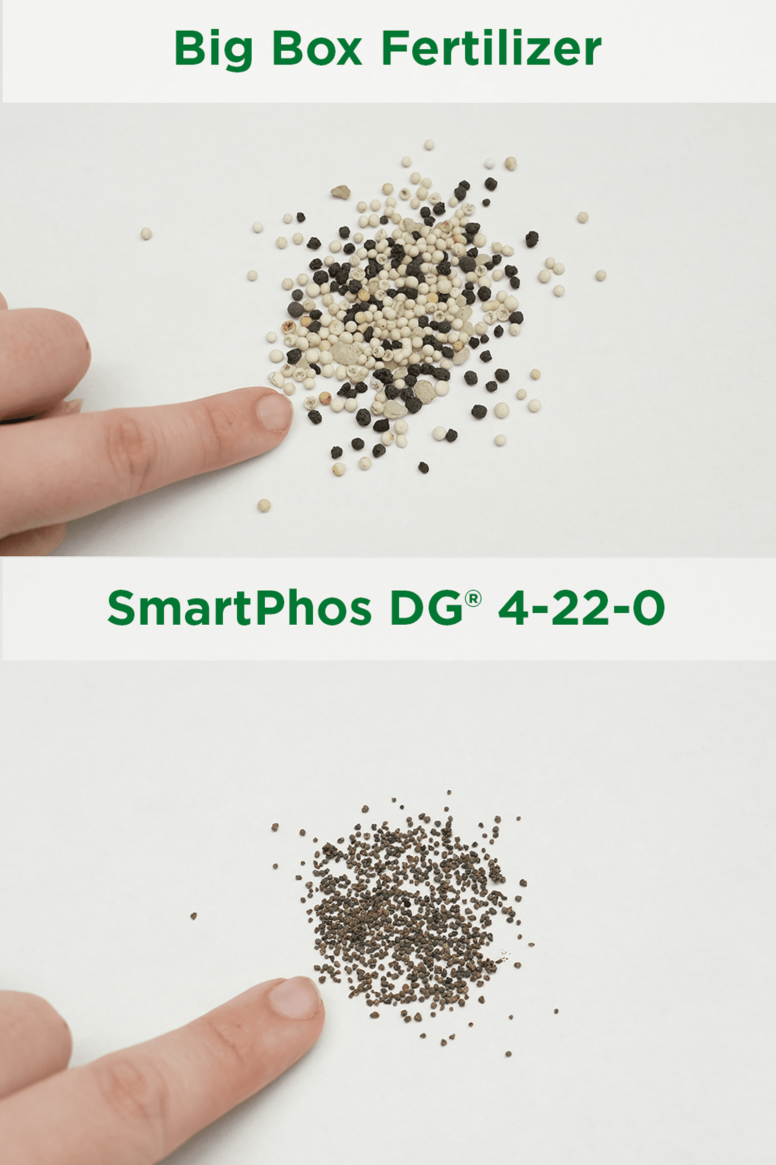 SmartPhos Comparison