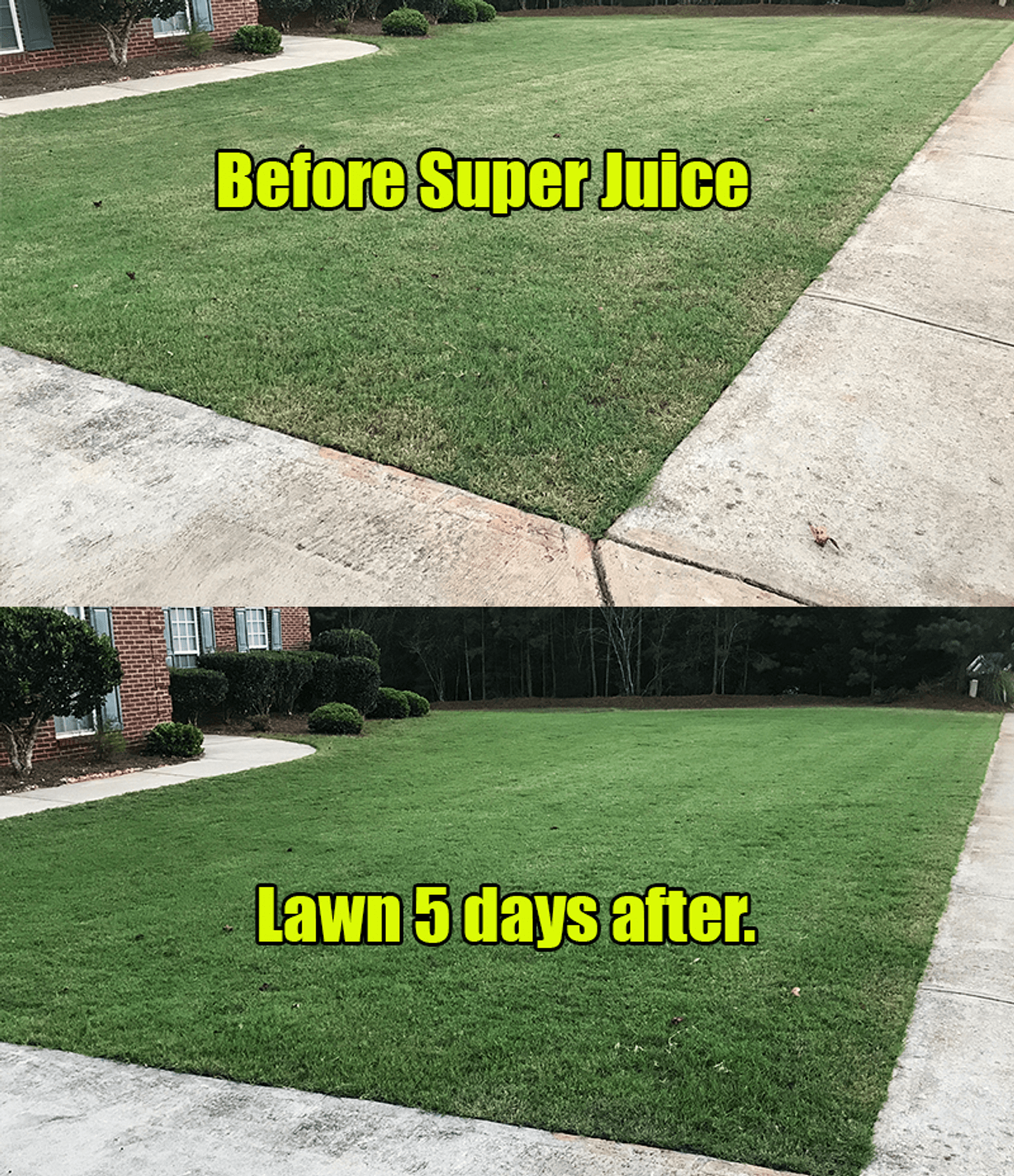 Super Juice Before and After Lawn