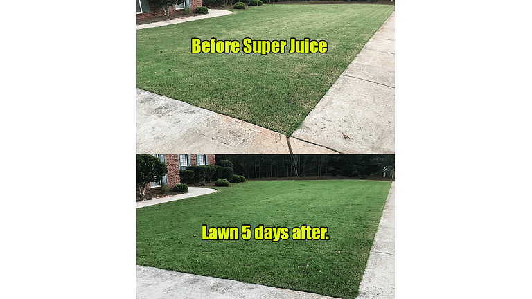 Super Juice Before and After Lawn