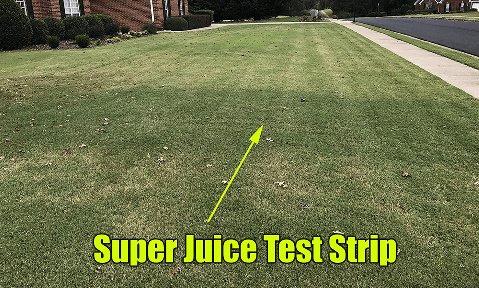 Lawn super juice test strip