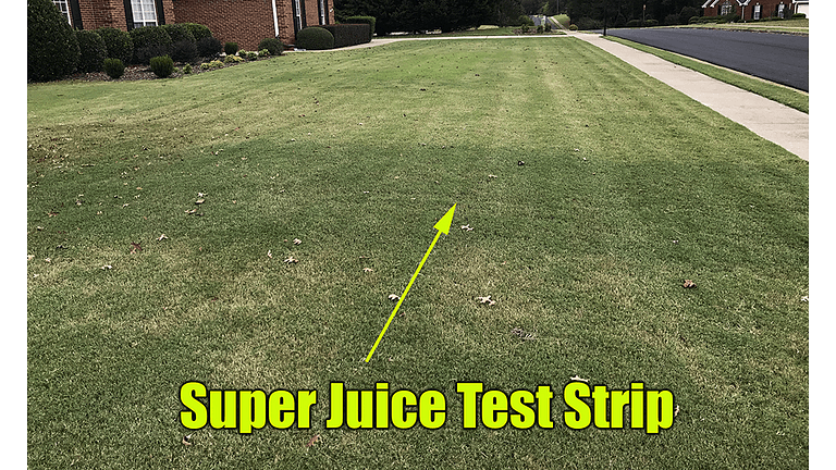Lawn super juice test strip