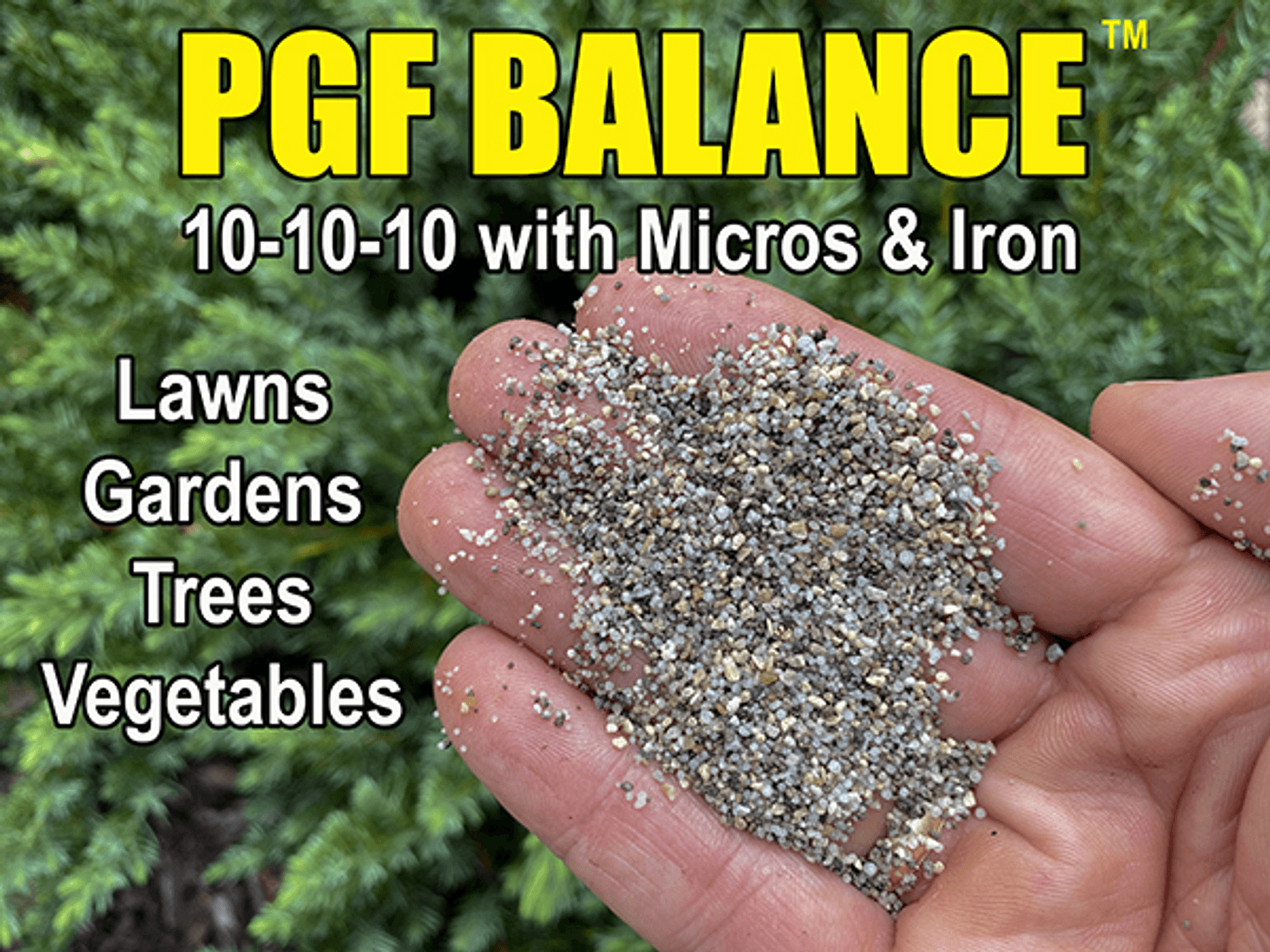 PGF Balanced Graphic