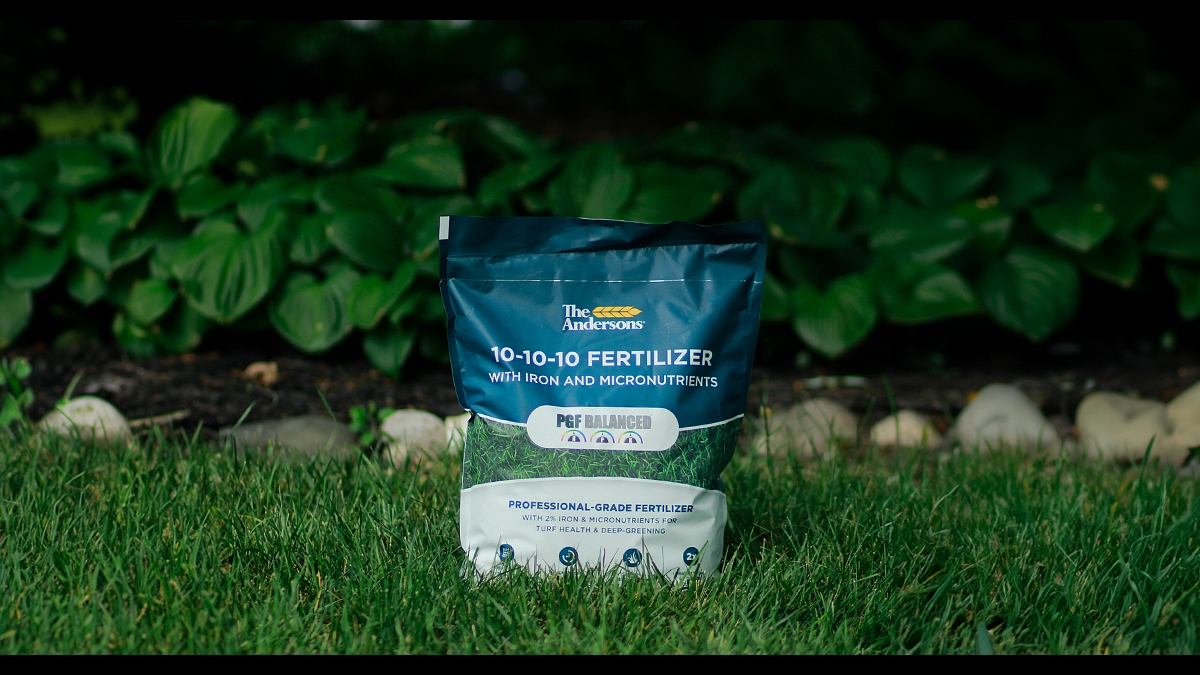 10 10 10 on sale fertilizer on lawn