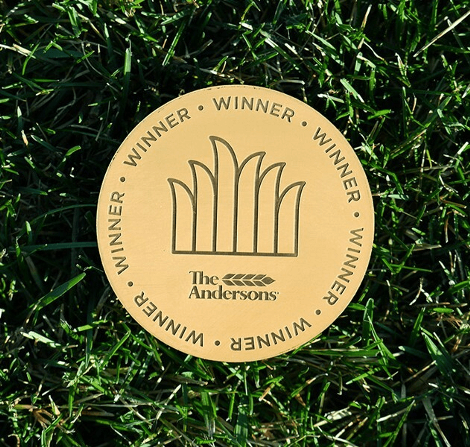 Gold Coin 2