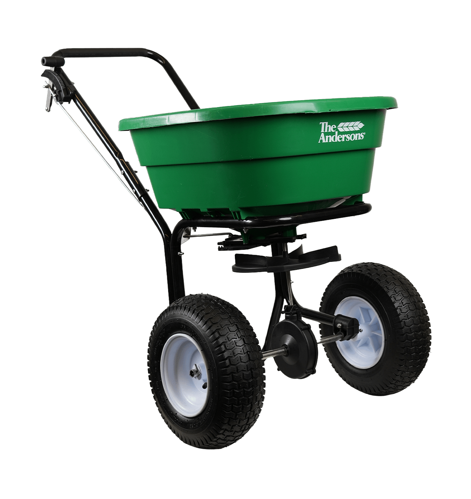 Pacer pro transparent