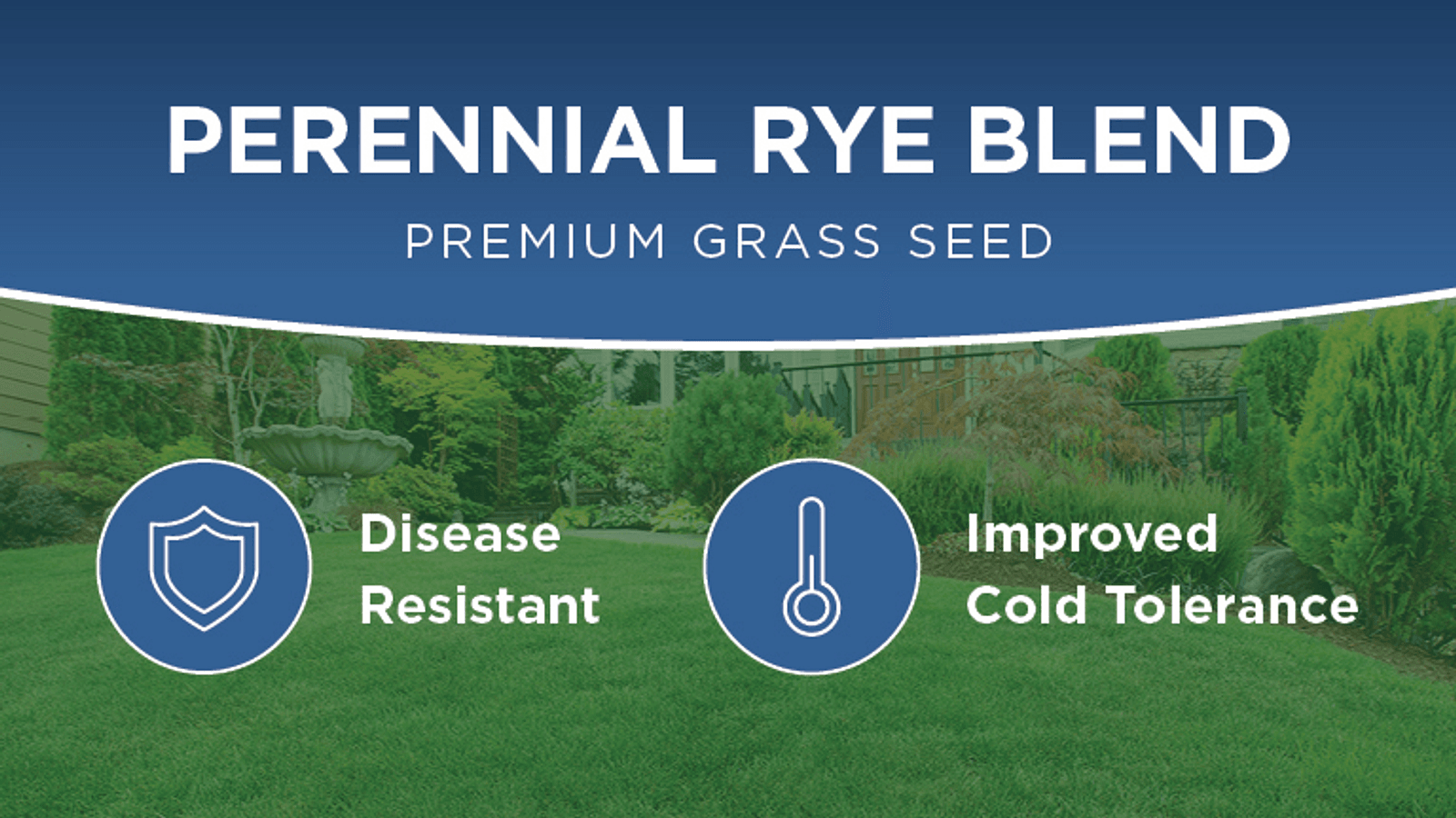 Perennial Rye Seed 2