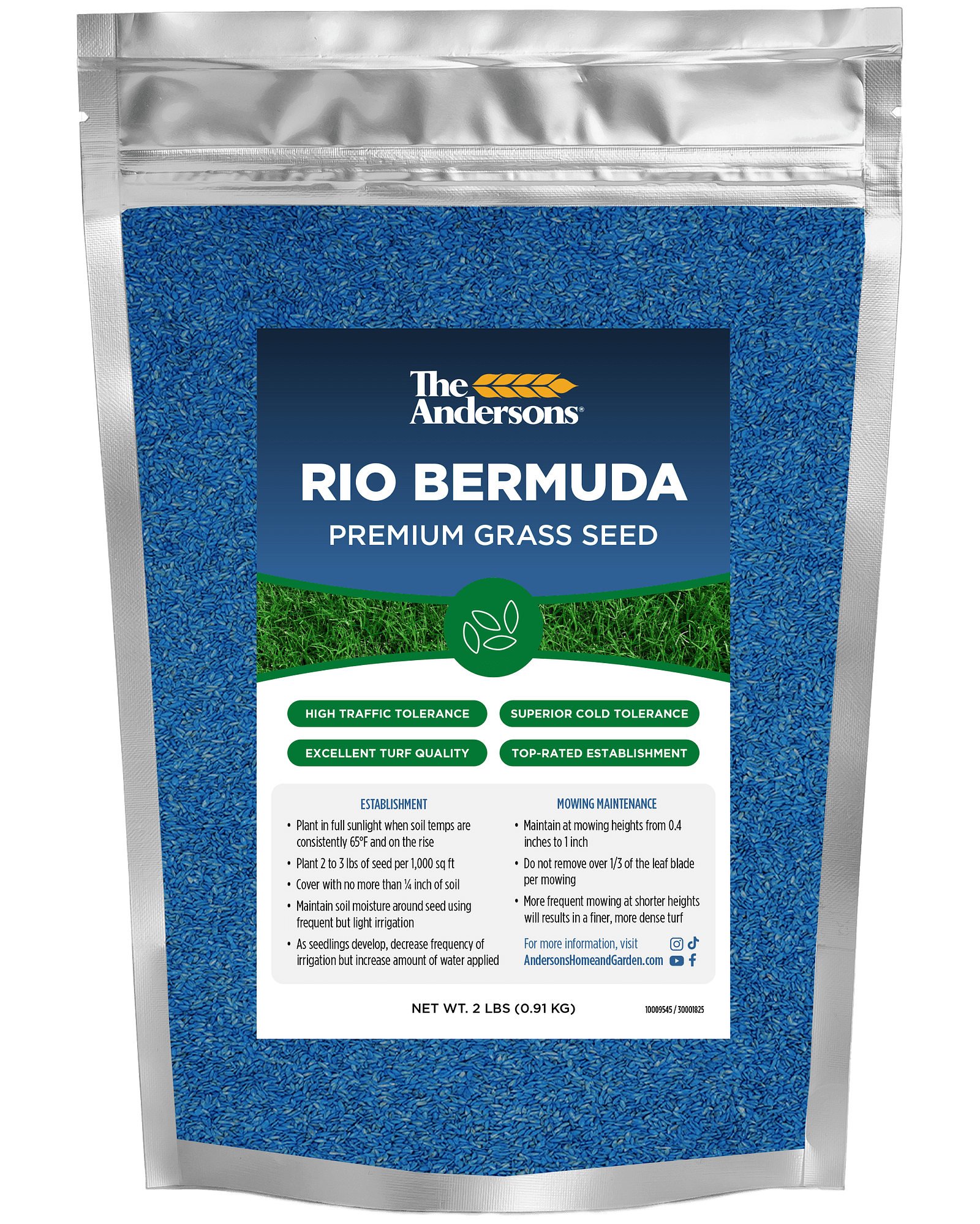 Rio Bermuda mock up